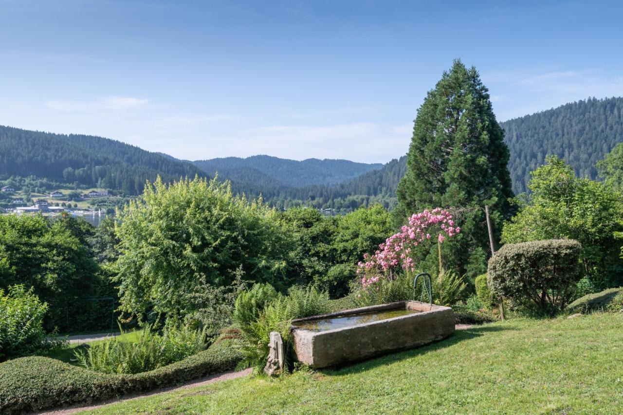 Le Manoir Au Lac Gérardmer Kültér fotó