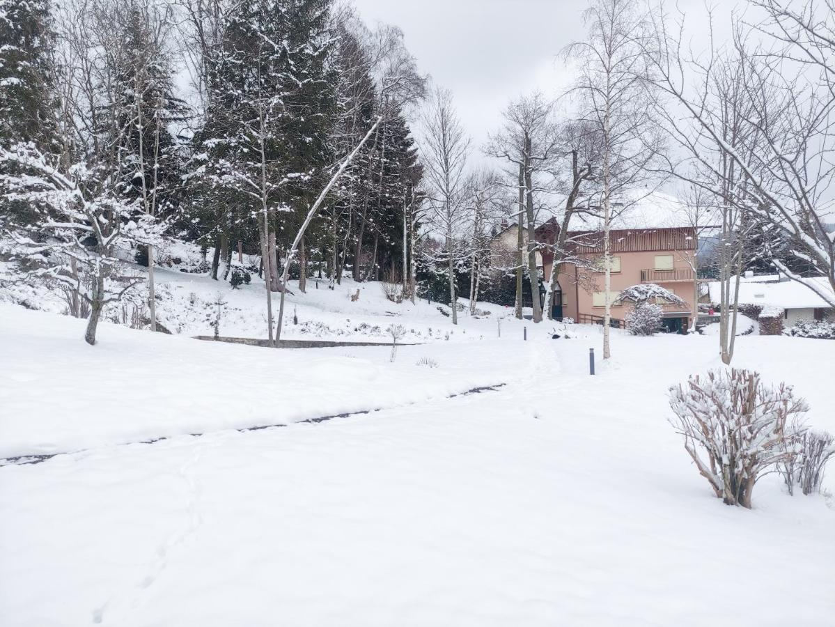 Le Manoir Au Lac Gérardmer Kültér fotó